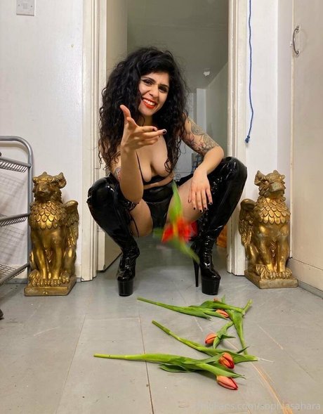 amateur pegging onlyfans porno img