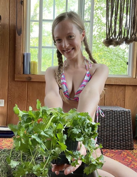 harperlane high quality pornstar img