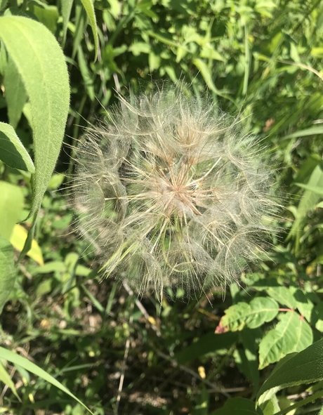 harperlane beautiful model img