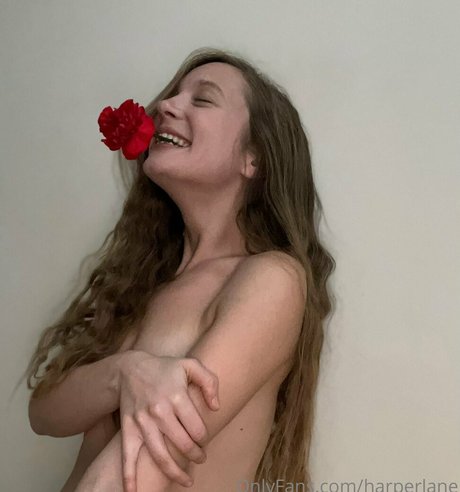 harperlane hd pornstar gallery