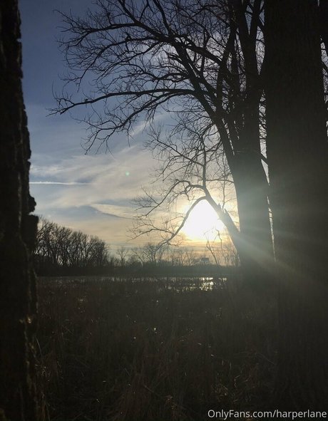 harperlane xxx actress pics