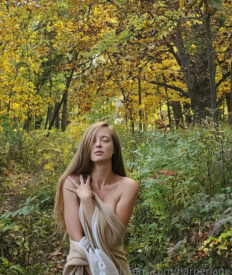 harperlane model free galleries