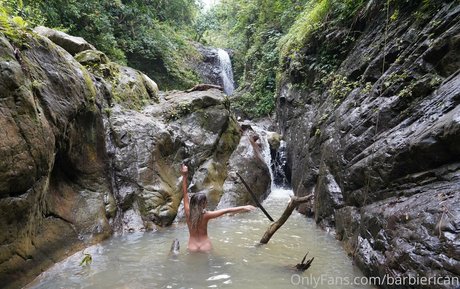 Barbierican beautiful star archive