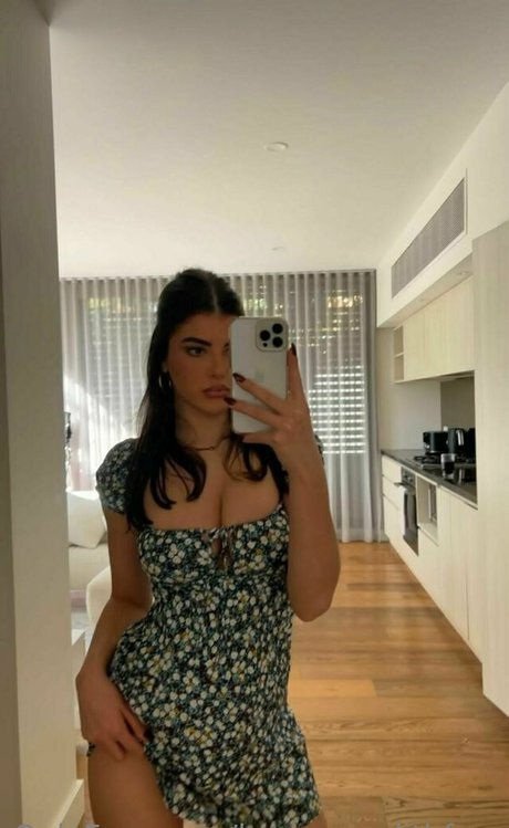 lanemeredithfree art star gallery