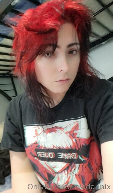 xdannix hd model archive