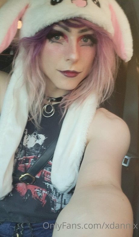 xdannix top star gallery