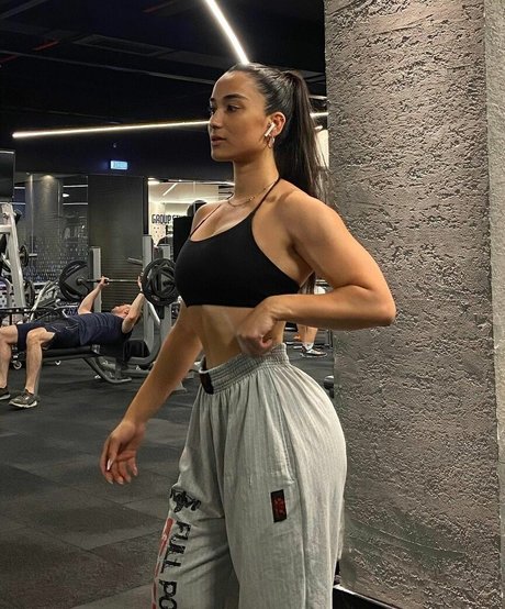 Hale Cabbar model art images