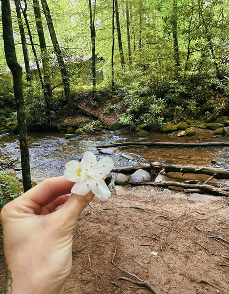 lunapowersthefairy model pornographic photo