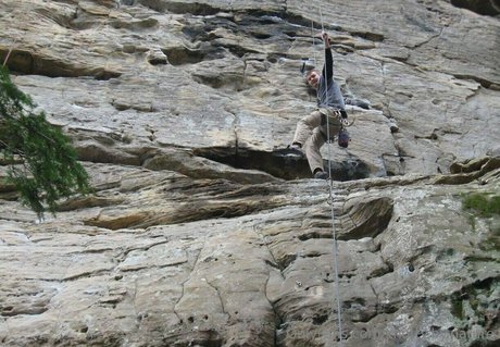 knotty by nature star top images