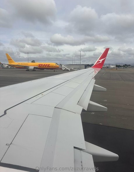 zuzutravels perfect star img