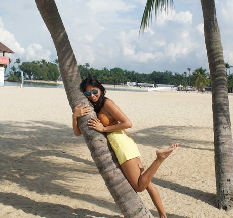 Shivani star perfect img