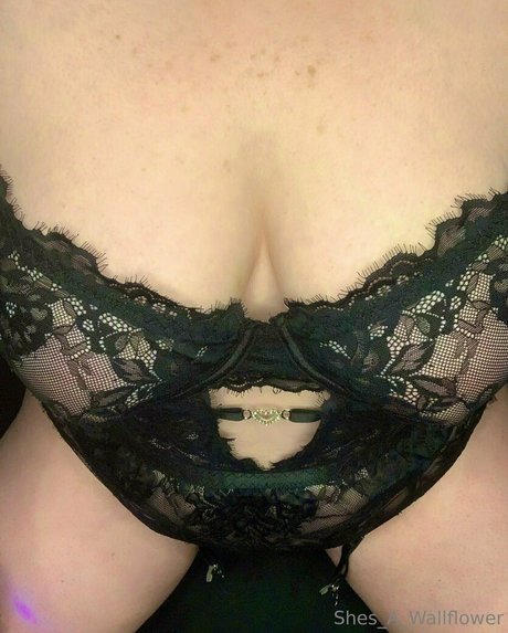 fansly onlyfans pornographic galleries