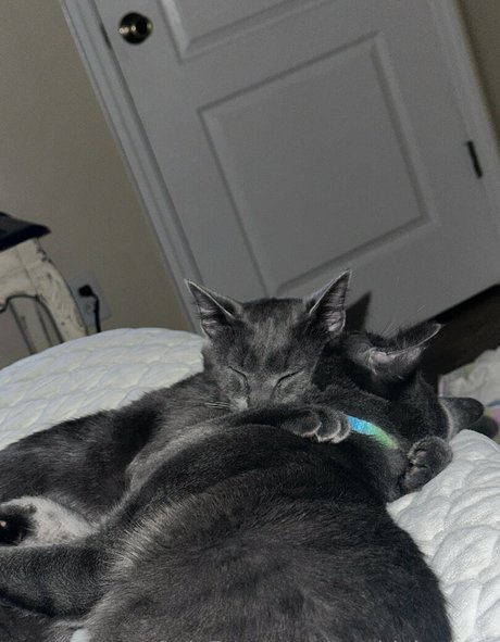 maddylovings erotic model photos