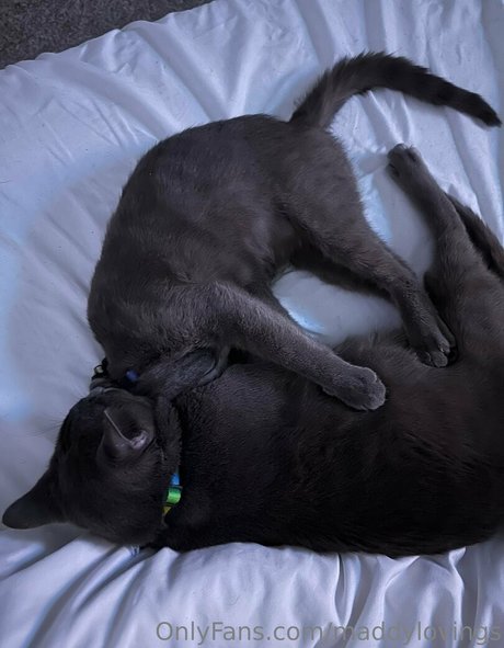 maddylovings exclusive pornstar picture