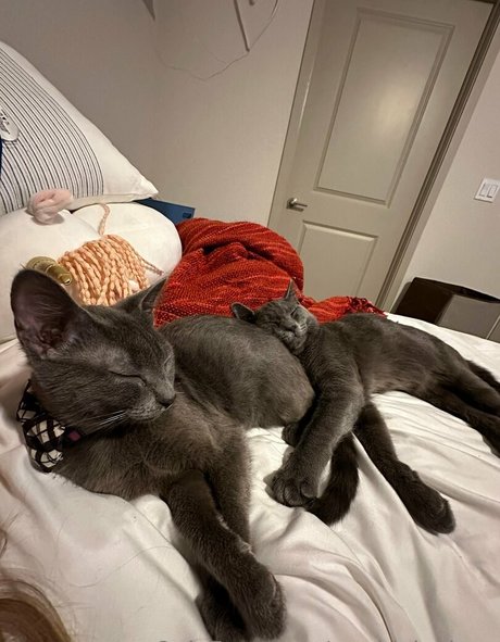 maddylovings model erotic pictures