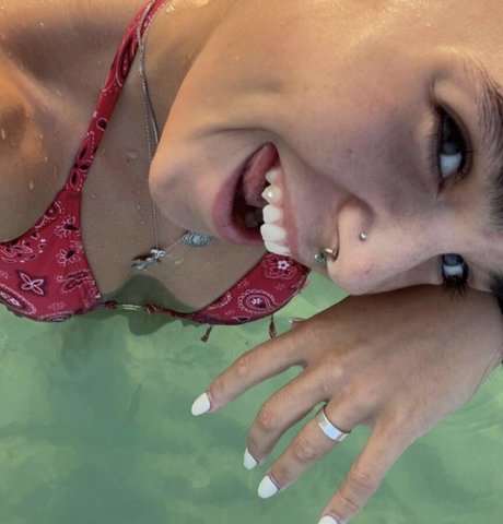 garfgains top star photo