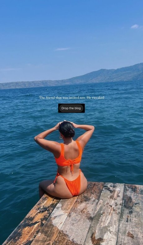 La irais best model archive