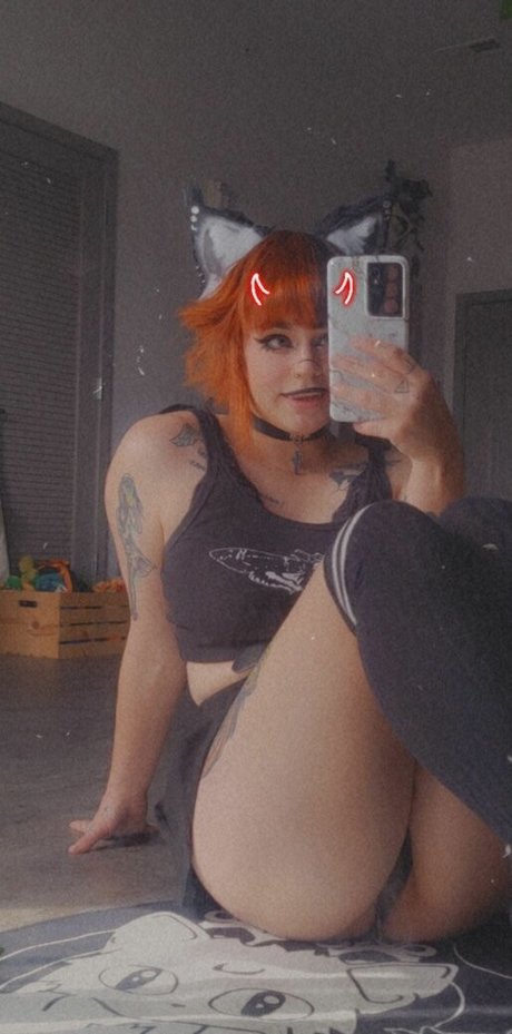 Coophound star top gallery