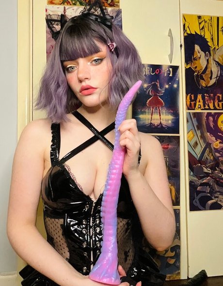 thecutestkittycat star exclusive image