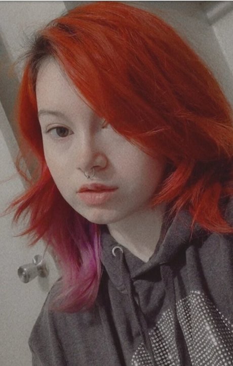 Little Nikky star free images