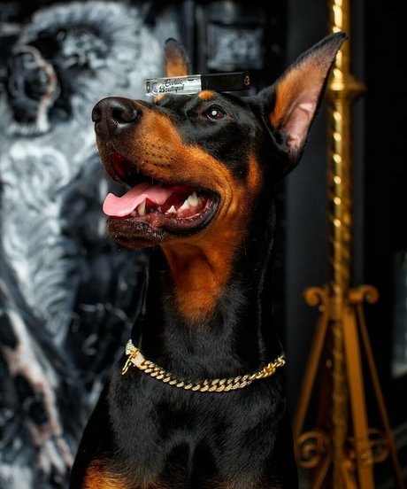 Thailiian pornstar pretty img