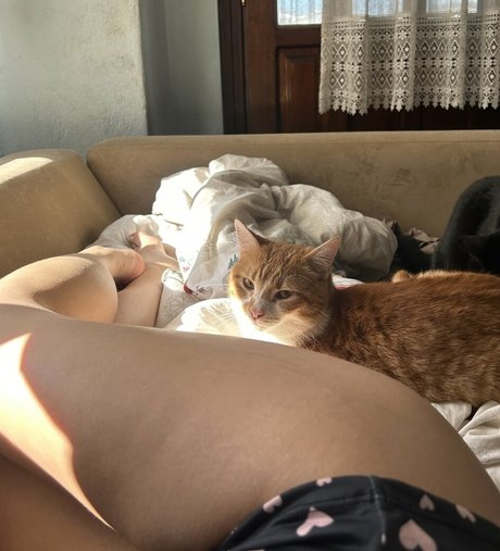 pov pussy onlyfans erotic img