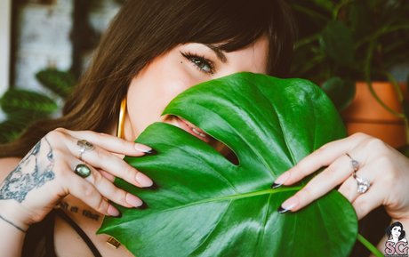 Mimi Flowers__MimiFlowersss beautiful actress pic