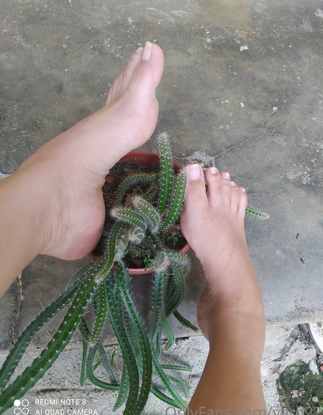 yarq22 perfect pornstar pictures