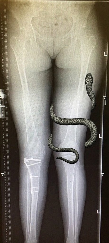 grungifungifree porn model picture