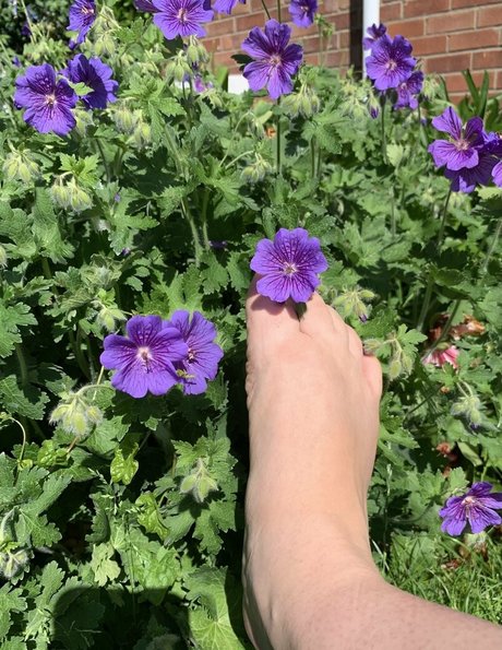 feet free onlyfans sexy naked pictures