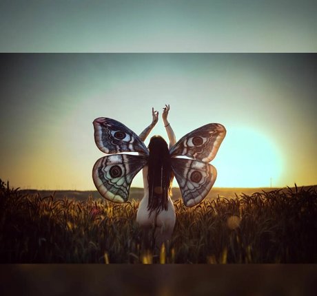 Wyndprinzessin xxx model archive