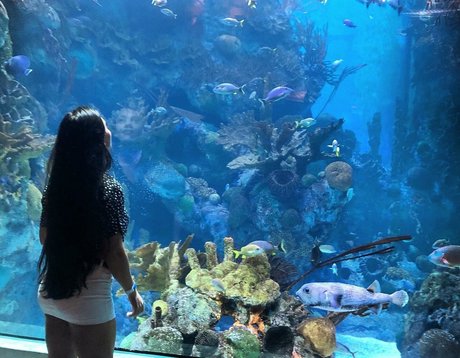 eceozbdk pretty pornstar photos