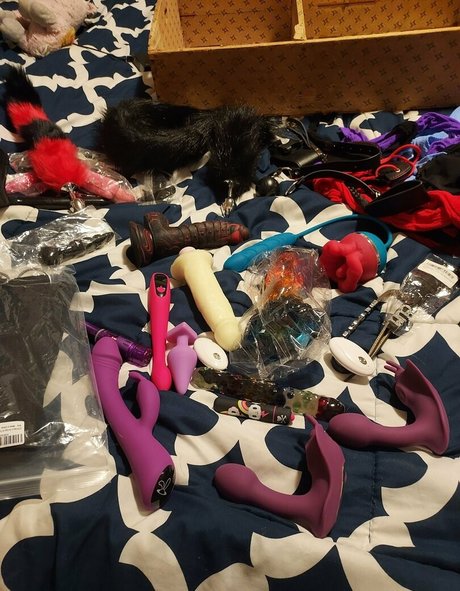 eeeveeekitten sexy pornstar pics