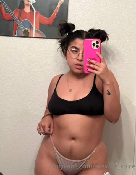 scawee spice model art images