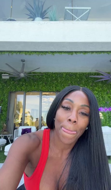 Coach Stormy art pornstar pics