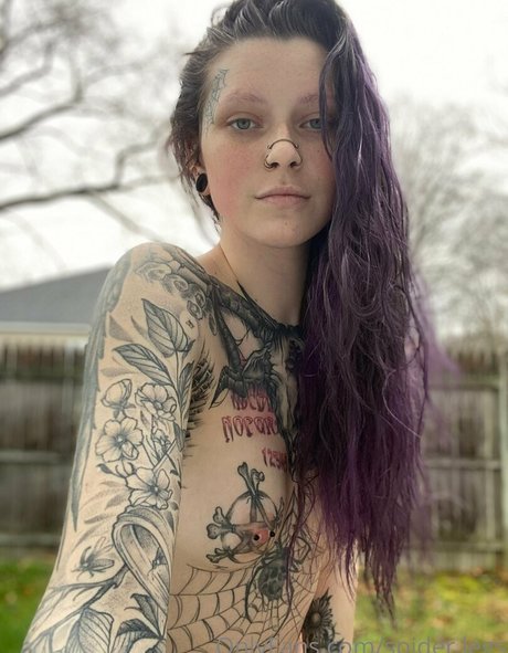 spider legs star top photos