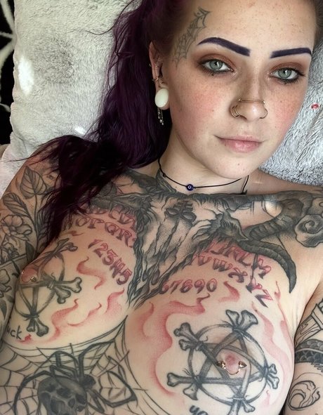 spider legs Profile Photo