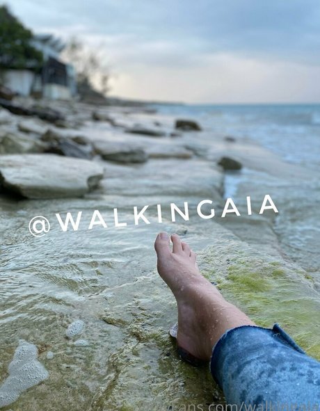 walkingaia top star images