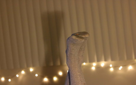 bbw ass onlyfans porno img