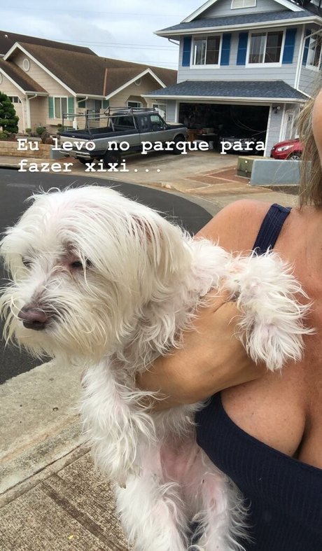 Dani Tamega pornstar art img