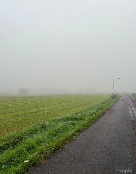 i sophie beautiful star gallery