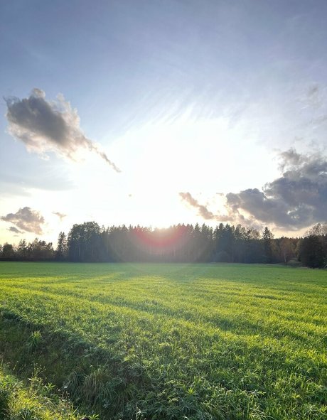 i sophie model pornographic pic