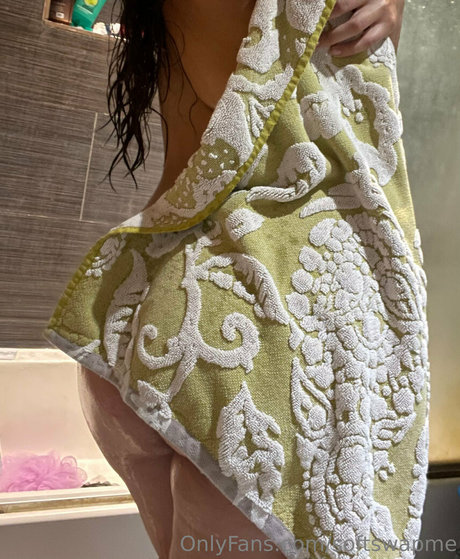 softswapme sex model archive