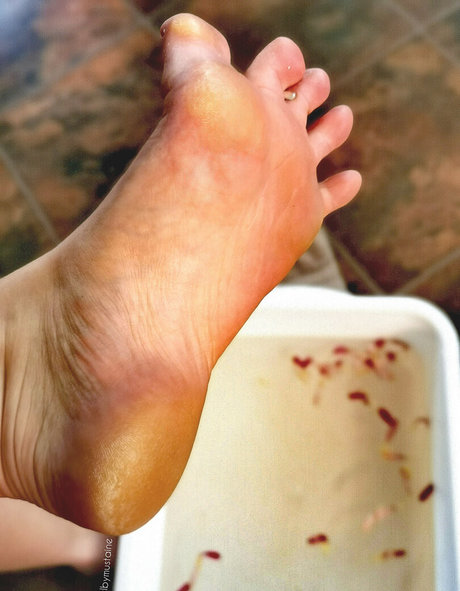 shelbymustaine model xxx galleries