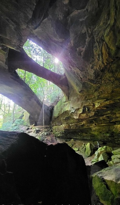 wife blowjob onlyfans xxx pic