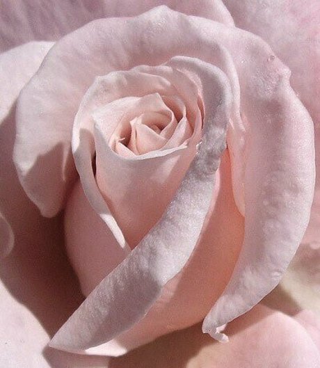 princessapril hot pornstar galleries