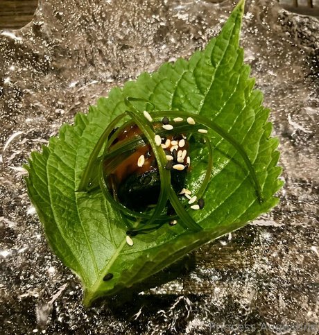 princessaugustine sexy pornstar image