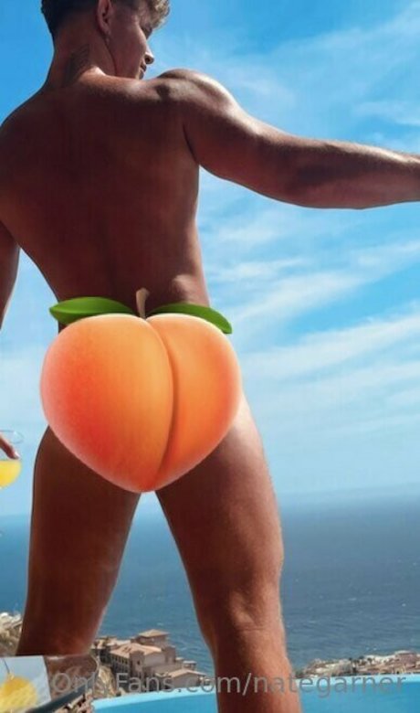 nategarner pornstar nudes image