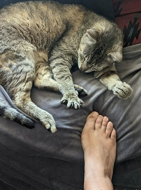 mexhotchocolate art actress archive