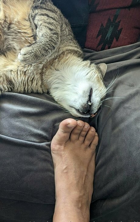 mexhotchocolate free actress img